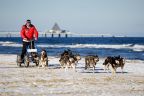 Już dzisiaj na plaży w Heringsdorfie wyścigi psich zaprzęgów. 