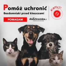 Czy kleszcze mają ulubione kolory?