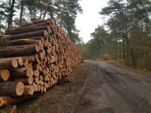 Komisja Europejska bada sprawę