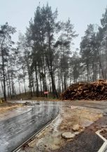 „Greenwashing”  także na wyspach 