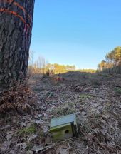 „Przylądek Pomerania. Propaganda zamiast faktów, konflikt zamiast dialogu”.