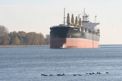 Duże i małe na Kanale Piastowskim