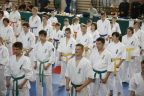 Karate na międzynarodowym turnieju